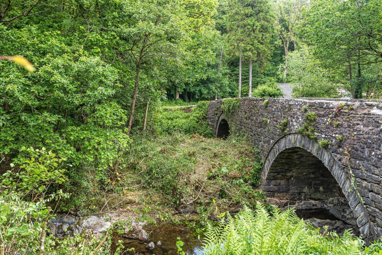 Waedog Bach Villa Llanfor Kültér fotó